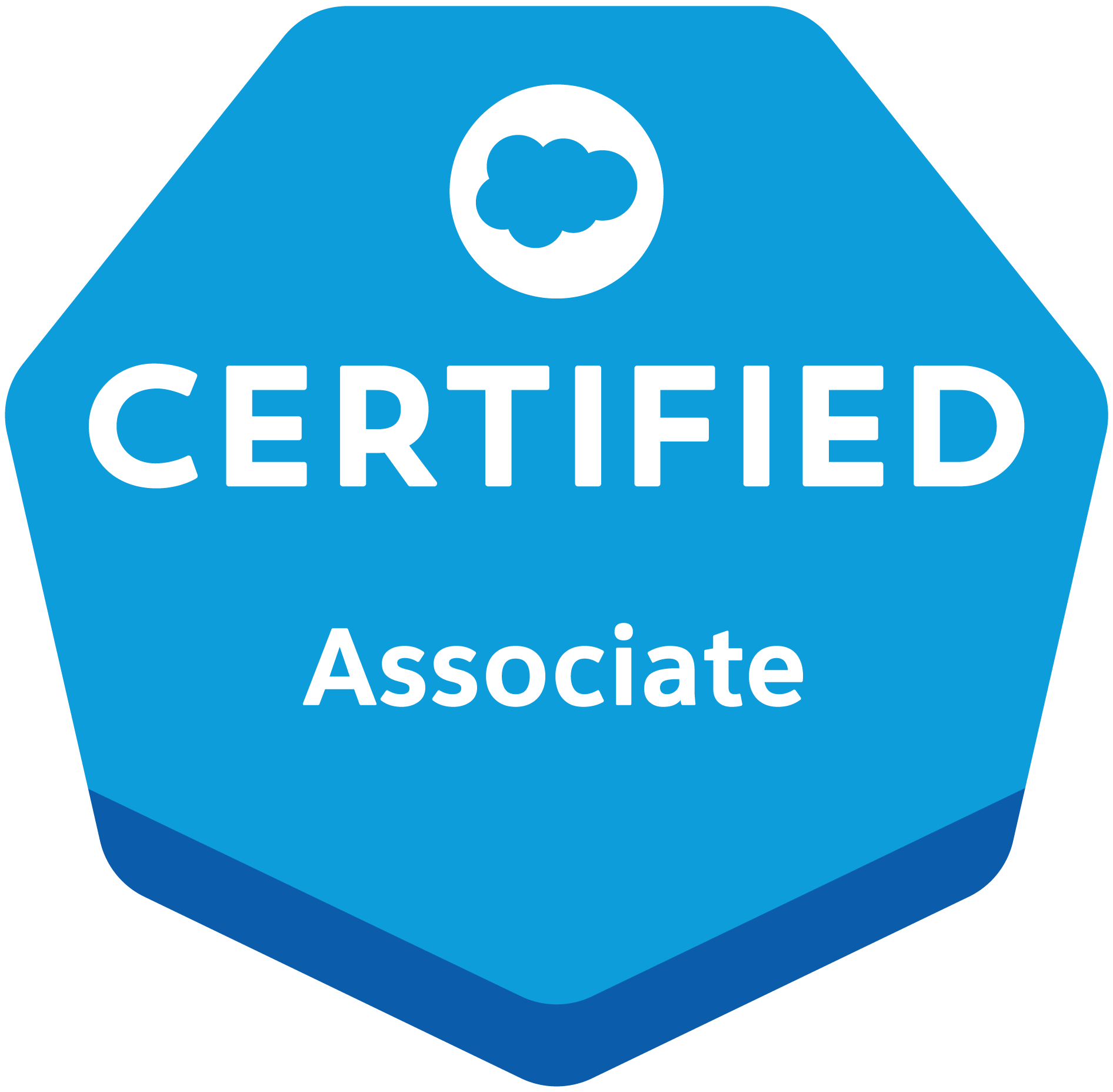 salesforce badge